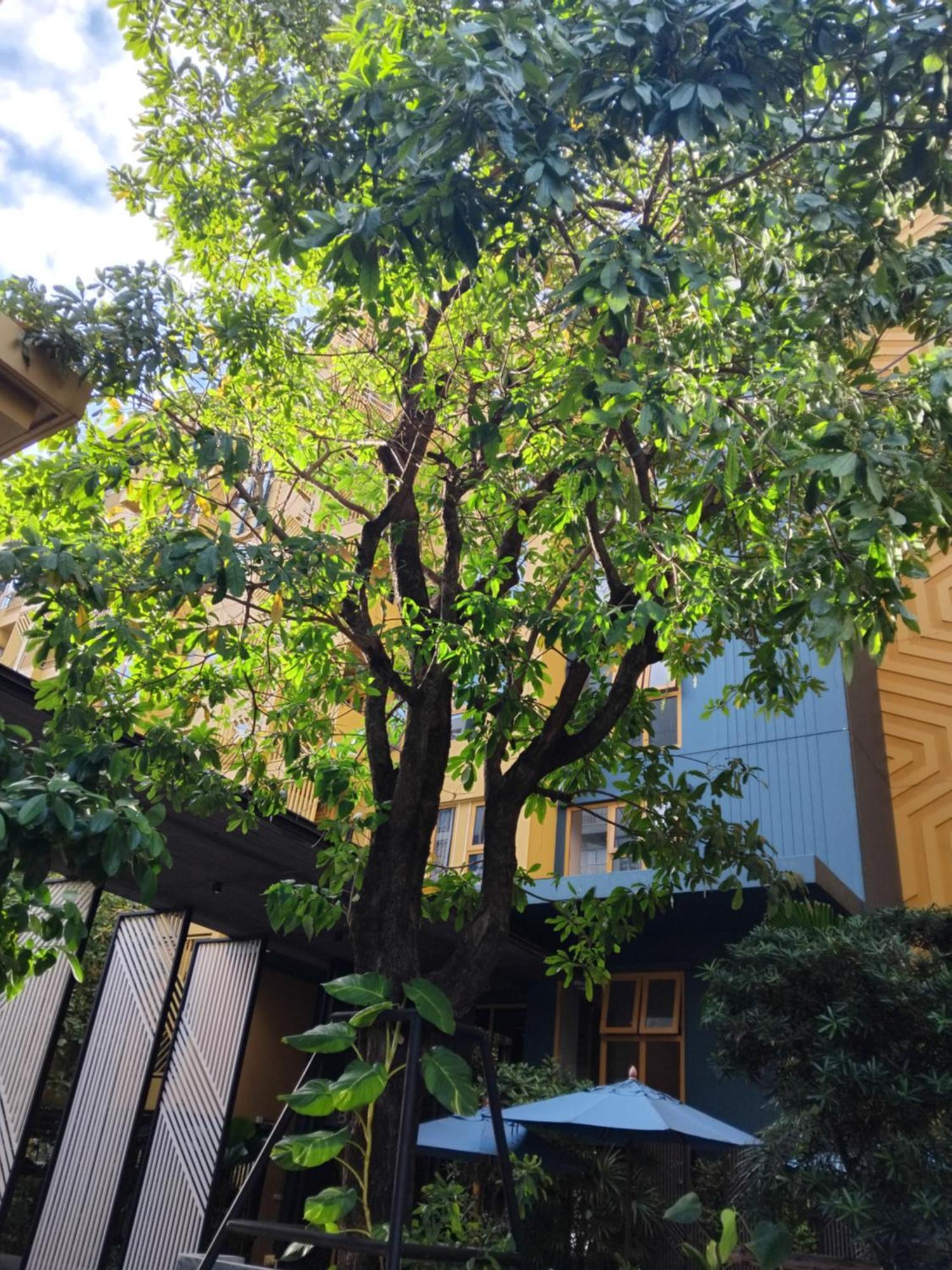 Brissluxe At Bts Onnut Sukumvit 50 Apartment Bangkok Exterior photo